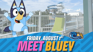 Meet Bluey